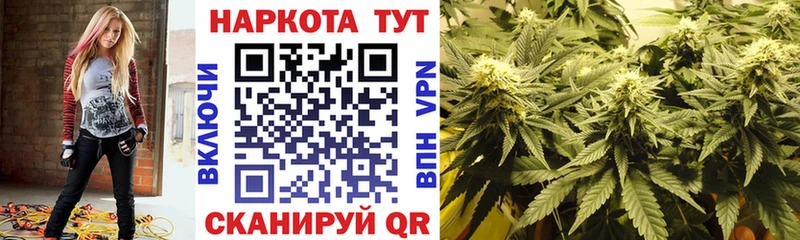 Где продают наркотики Апатиты Конопля КОКАИН СОЛЬ Меф Гашиш
